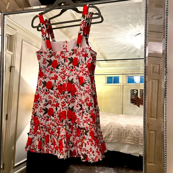 Gorgeous ALEXIS Embroidered Dress - Picture 9 of 10